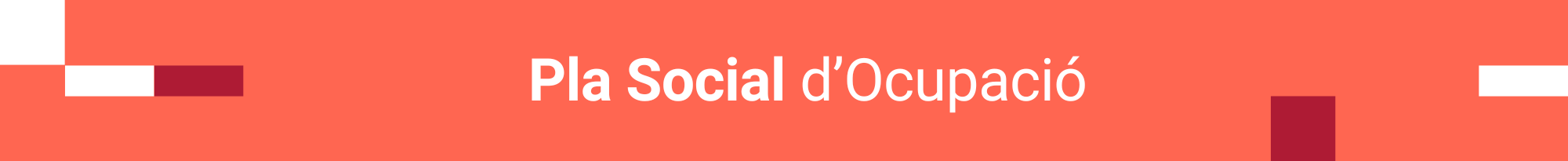 Pla Ocupació